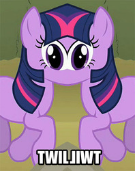 Size: 714x900 | Tagged: safe, twilight sparkle, g4, female, fusion, solo, unitinu, wat, we have become one, what has science done