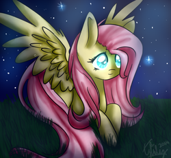 Size: 606x557 | Tagged: safe, artist:dark-little-airin, fluttershy, g4, female, solo, starry night