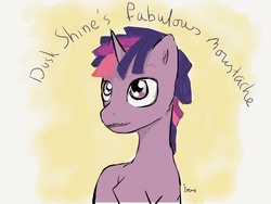 Size: 1024x768 | Tagged: safe, artist:theirene, twilight sparkle, g4, dusk shine, moustache, rule 63, solo