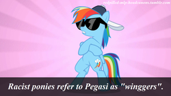 Size: 1280x720 | Tagged: safe, rainbow dash, pegasus, pony, g4, caption, female, hat, headcanon, image macro, mare, op is a duck, racism, redpilled-mlp-headcanons, solo, sunglasses, text