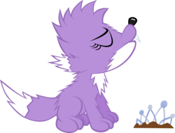 Size: 1017x775 | Tagged: safe, artist:magerblutooth, diamond tiara, werewolf, wolf, g4, female, howling, simple background, solo, species swap, transparent background, vector