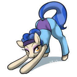 Size: 900x900 | Tagged: safe, artist:moronsonofboron, sapphire shores, earth pony, pony, g4, female, leotard, solo, stretching