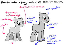 Size: 1205x864 | Tagged: safe, artist:mcponyponypony, g4, female, male, mare, stallion, tutorial