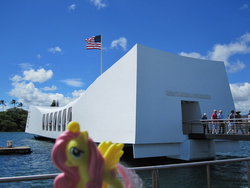 Size: 1024x768 | Tagged: safe, artist:jazzytyfighter, fluttershy, g4, 1000 shots to get the perfect photograph, hawaii, irl, pearl harbor, photo, ponies around the world, toy, uss arizona memorial