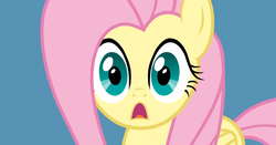 Size: 1016x534 | Tagged: safe, artist:misterdavey, fluttershy, smile hd, cute, d:, faic, female, looking at you, open mouth, reaction image, shyabetes, solo, surprised, wide eyes
