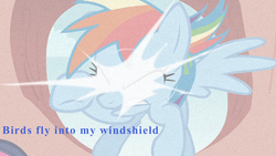 Size: 960x540 | Tagged: safe, rainbow dash, twilight sparkle, g4, caption, text, they might be giants, tmblp