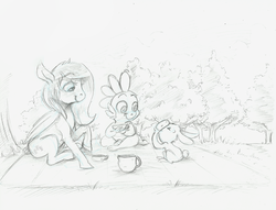 Size: 1280x979 | Tagged: safe, artist:imsokyo, angel bunny, fluttershy, spike, daily life of spike, g4, angelbetes, cute, monochrome, picnic, raised hoof, shyabetes, sitting, sketch, smiling, spikabetes, tea, teapot, traditional art