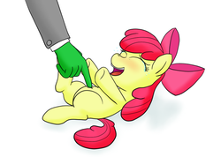 Size: 706x504 | Tagged: safe, artist:placeholder, apple bloom, oc, oc:anon, pony, g4, adorabloom, cute, poppin' freshing, tickling