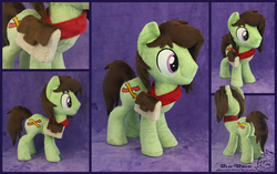 Size: 4021x2519 | Tagged: safe, artist:zizzaz, oc, oc only, oc:shuffle, earth pony, pony, irl, male, photo, plushie, stallion