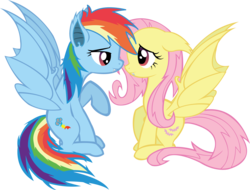 Size: 4934x3758 | Tagged: safe, artist:fluttershy750, fluttershy, rainbow dash, bat pony, pony, g4, female, flutterbat, lesbian, race swap, rainbowbat, ship:flutterdash, shipping, simple background, species swap, transparent background, vector