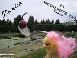 Size: 2000x1500 | Tagged: safe, artist:ponyepoch, fluttershy, g4, brushable, irl, minnesota, photo, ponies around the world, toy