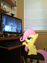 Size: 1936x2592 | Tagged: safe, artist:shadyhorseman, fluttershy, pony, g4, computer, filly, irl, medic, medic (tf2), microsoft windows, missing texture, photo, ponies in real life, scout (tf2), team fortress 2, vector, windows 7