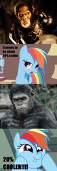 Size: 616x1832 | Tagged: safe, rainbow dash, ape, chimpanzee, g4, 20% cooler, caesar (planet of the apes), dawn of the planet of the apes, planet of the apes, thade