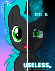 Size: 600x770 | Tagged: safe, artist:shadow-of-nightmares, oc, oc only, oc:rainfearless storm, two sided posters, grammar error, solo, two sides