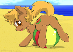 Size: 1044x750 | Tagged: safe, artist:spiralshockwave, oc, oc only, oc:beach ball, earth pony, pony, beach, beach ball, butt, chest fluff, dock, featureless crotch, open mouth, plot, tail, tongue out, underhoof