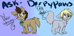 Size: 1280x624 | Tagged: safe, artist:lonely-galaxies, derpy hooves, doctor whooves, time turner, cat, ask derpy paws, g4, ask, duo, necktie, smiling, species swap, tumblr