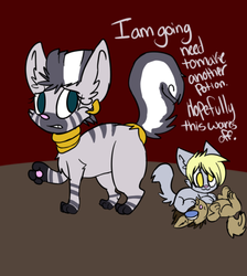 Size: 500x557 | Tagged: safe, artist:lonely-galaxies, derpy hooves, doctor whooves, time turner, zecora, cat, ask derpy paws, g4, ask, species swap, tumblr