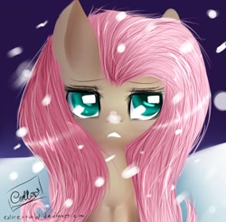 Size: 902x886 | Tagged: safe, artist:colorettaw, fluttershy, g4, female, snow, snowfall, solo, winter