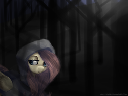 Size: 2000x1500 | Tagged: safe, artist:abovespace, fluttershy, pony, g4, clothes, female, hoodie, solo