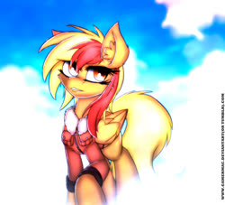 Size: 1100x1000 | Tagged: safe, artist:gamermac, oc, oc only, oc:brave wing, pegasus, pony, clothes, female, jacket, pilot, rule 63, solo
