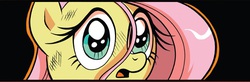 Size: 722x238 | Tagged: safe, fluttershy, pony, g4, spoiler:comic, female, looking at something, mare, open mouth, solo, stray strand, wide eyes