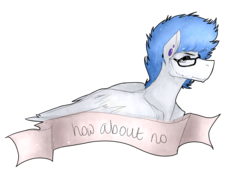 Size: 1453x1010 | Tagged: source needed, safe, artist:cristate, oc, oc only, oc:hiro, pony, banner, how about no, solo