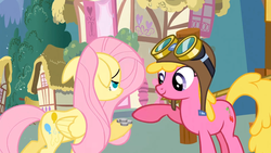 Size: 1280x720 | Tagged: safe, screencap, cherry berry, fluttershy, earth pony, pegasus, pony, g4, magical mystery cure, aviator hat, bits, butt, female, floppy ears, frown, goggles, hat, hoof hold, lidded eyes, mare, money, plot, ponyville, silver bits, smiling, swapped cutie marks, unamused