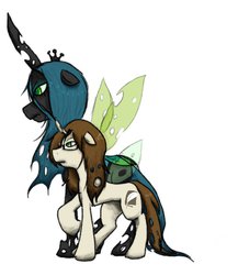 Size: 1024x1178 | Tagged: safe, queen chrysalis, oc, oc:poisoned soul, g4, canon x oc, changelingified, chrysalislover, shipping