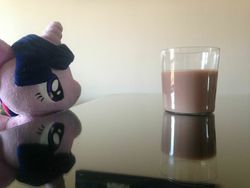 Size: 1024x768 | Tagged: safe, twilight sparkle, g4, 4de, chocolate milk, impending doom, irl, meme, photo, plushie, pure unfiltered evil, spilled milk, this will end in tears