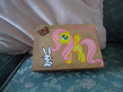 Size: 4320x3240 | Tagged: safe, artist:lindyart, angel bunny, fluttershy, g4, box, customized toy