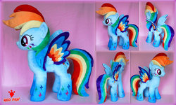 Size: 1024x615 | Tagged: safe, artist:lavim, rainbow dash, g4, daily deviation, irl, photo, plushie, rainbow power, solo