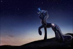 Size: 1200x800 | Tagged: safe, artist:cosmicunicorn, oc, oc only, oc:moongaze, pony, unicorn, glowing horn, horn, looking up, night, raised hoof, solo, stars