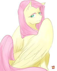 Size: 800x1000 | Tagged: safe, artist:norang94, fluttershy, g4, female, solo