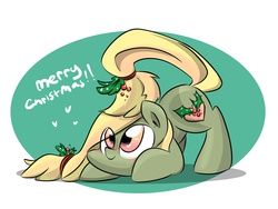 Size: 2048x1536 | Tagged: safe, artist:melodenesa, oc, oc only, oc:festive pudding, earth pony, pony, christmas, earth pony oc, holly, holly mistaken for mistletoe, solo