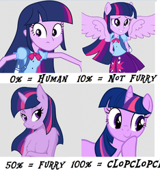 Size: 1239x1324 | Tagged: safe, twilight sparkle, anthro, equestria girls, g4, 4chan, anthro chart, ponied up, twilight sparkle (alicorn)