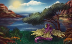 Size: 1280x800 | Tagged: safe, artist:valery-harkova, fluttershy, g4, female, scenery, sitting, solo, spread wings