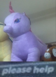 Size: 560x772 | Tagged: safe, twilight sparkle, g4, bootleg, expand dong, exploitable meme, irl, kill me, meme, photo, plushie