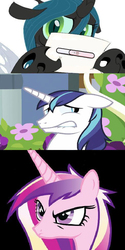 Size: 482x965 | Tagged: safe, princess cadance, queen chrysalis, shining armor, alicorn, changeling, changeling queen, pony, unicorn, g4, chrysalis' note, exploitable meme, female, infidelity, infidelity armor, male, meme, pregnancy test, ship:shining chrysalis, shipping, straight