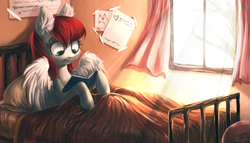 Size: 1286x735 | Tagged: safe, artist:locksto, oc, oc only, pegasus, pony, bed, book, female, mare, reading, solo