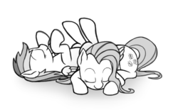 Size: 602x374 | Tagged: dead source, safe, artist:roxenmage, fluttershy, rainbow dash, pegasus, pony, g4, duo, monochrome, on back, prone, sleeping, smiling