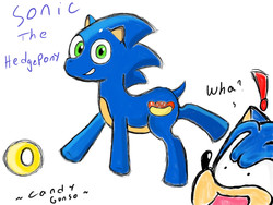 Size: 1024x768 | Tagged: safe, artist:candygunso, pony, anthro ponidox, chili dog, chilli, crossover, hot dog, male, ponified, ring, self ponidox, solo, sonic the hedgehog, sonic the hedgehog (series)