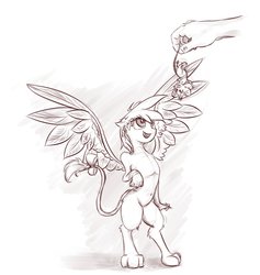 Size: 1137x1200 | Tagged: safe, artist:scootiebloom, oc, oc only, oc:alex, griffon, rat, satyr, belly button, hand, monochrome, offspring, parent:gilda, solo