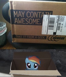 Size: 1296x1514 | Tagged: safe, artist:thesavederpyfoundation, rainbow dash, fanfic:my little dashie, g4, box, implied hammers, irl, newegg, photo, ponies in real life