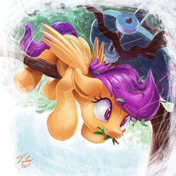 Size: 900x900 | Tagged: safe, artist:tsitra360, scootaloo, pegasus, pony, g4, crash, derp, fail, female, filly, floppy ears, frown, scootacrash, scooter, solo, stuck, tree, wide eyes