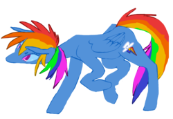 Size: 1000x688 | Tagged: safe, artist:nowler, rainbow dash, g4, female, multicolored hair, solo