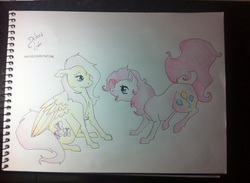 Size: 959x701 | Tagged: safe, artist:araiden, fluttershy, pinkie pie, earth pony, pegasus, pony, g4, duo, floppy ears, sitting, traditional art