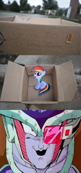 Size: 1320x2796 | Tagged: safe, rainbow dash, pegasus, pony, g4, dashie meme, dragon ball, dragon ball z, evil people finding dash meme, exploitable meme, freeza, meme