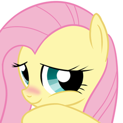 Size: 800x800 | Tagged: safe, artist:cordierite, fluttershy, pony, g4, blushing, bust, cute, female, mare, pixiv, portrait, shyabetes, simple background, solo, white background