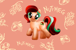 Size: 1024x675 | Tagged: safe, artist:raptorande, oc, oc only, oc:nutmeg, looking at you, solo