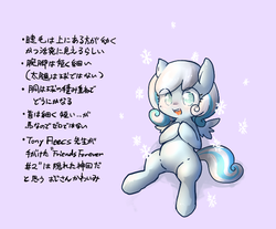 Size: 579x480 | Tagged: safe, artist:toki, oc, oc only, oc:snowdrop, japanese, solo, translated in the comments